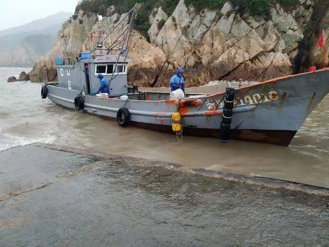大陈岛渔船图片