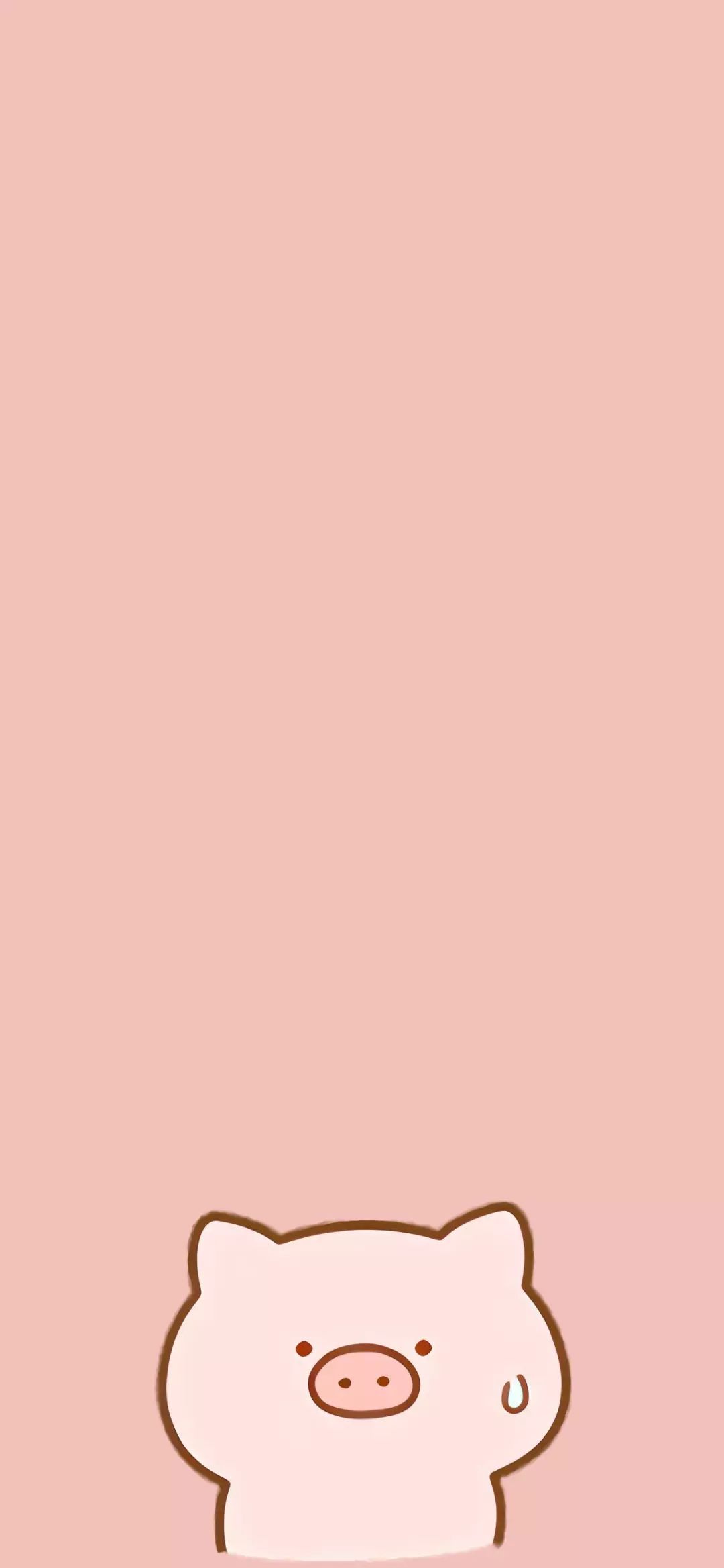 猪猪壁纸可爱到犯规