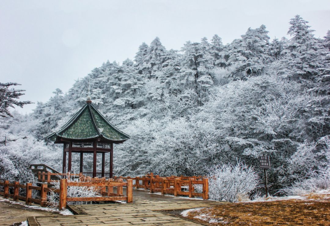 太勾魂了奔赴峨眉山看雪景是对冬天最基本的尊重