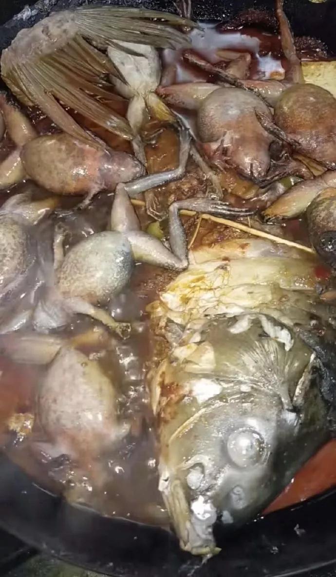 图片[21] - 【xizi被窝段子】所有人都关心你飞的高不高飞的累不累 只有我不同：我不关心你！ - xizi