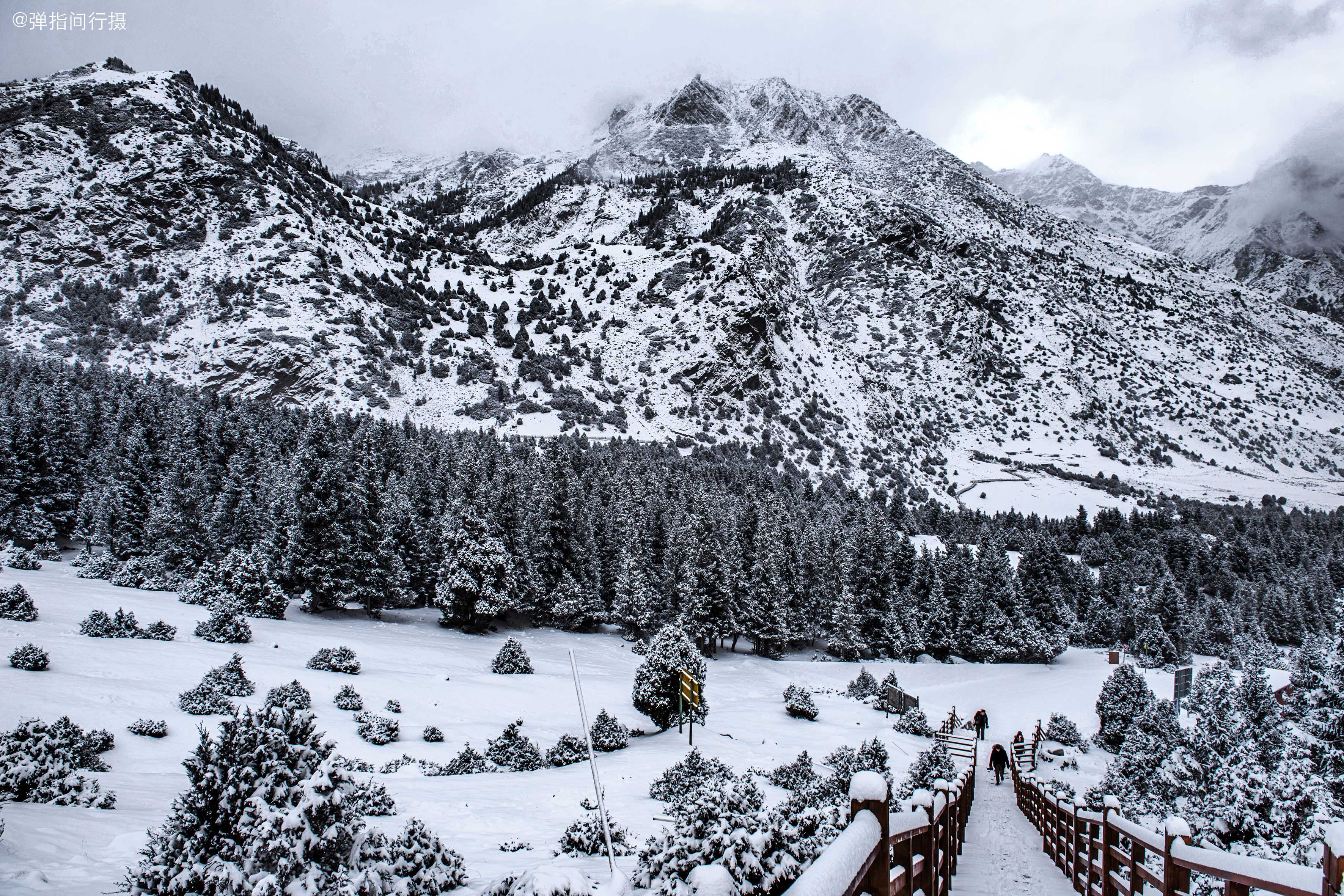 高尔山雪景图片