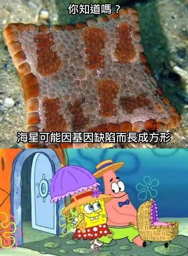 图片[30] - 【xizi被窝段子】所有人都关心你飞的高不高飞的累不累 只有我不同：我不关心你！ - xizi