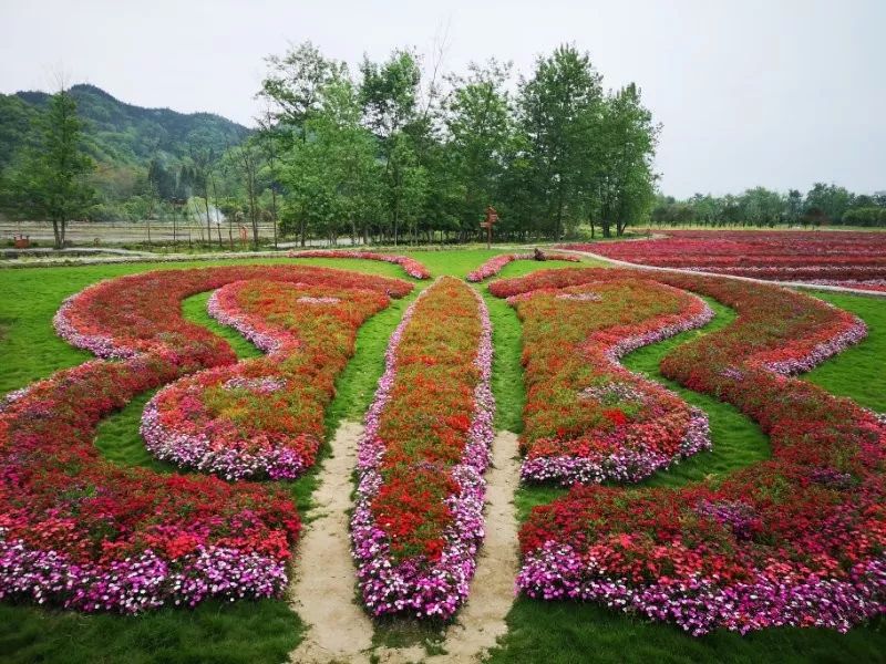 祁阳德辉景区图片