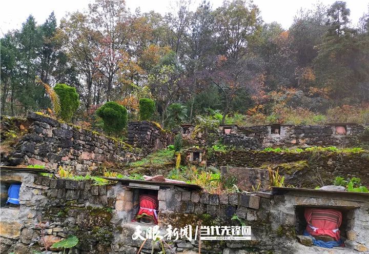 沿河黄池村:家家户户养蜂 酿出脱贫"蜜"