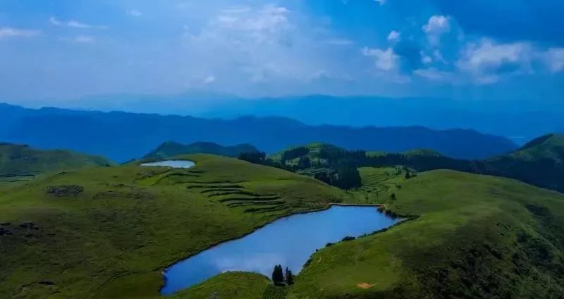 藤山自然保护区保护野生动物林业人永不止步