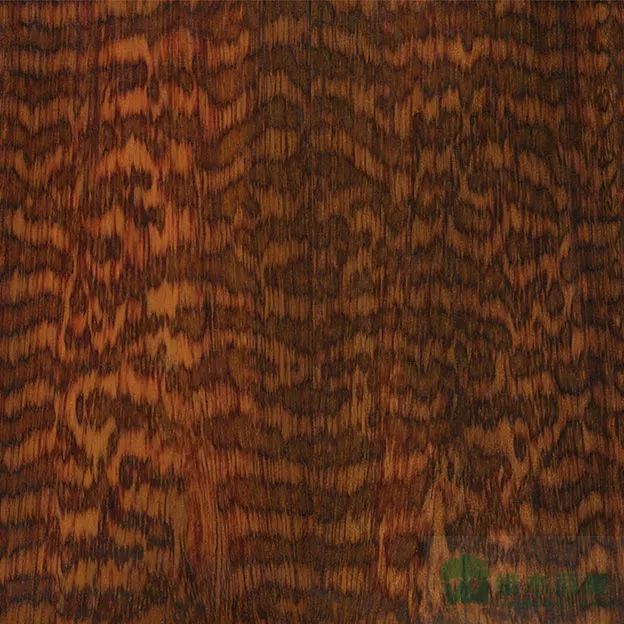 老虎纹木皮界最霸气的纹理之一