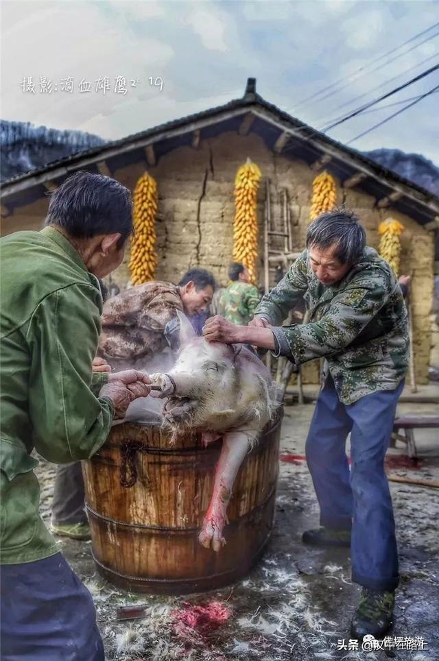 汉中杀年猪的传统习俗你见过吗?