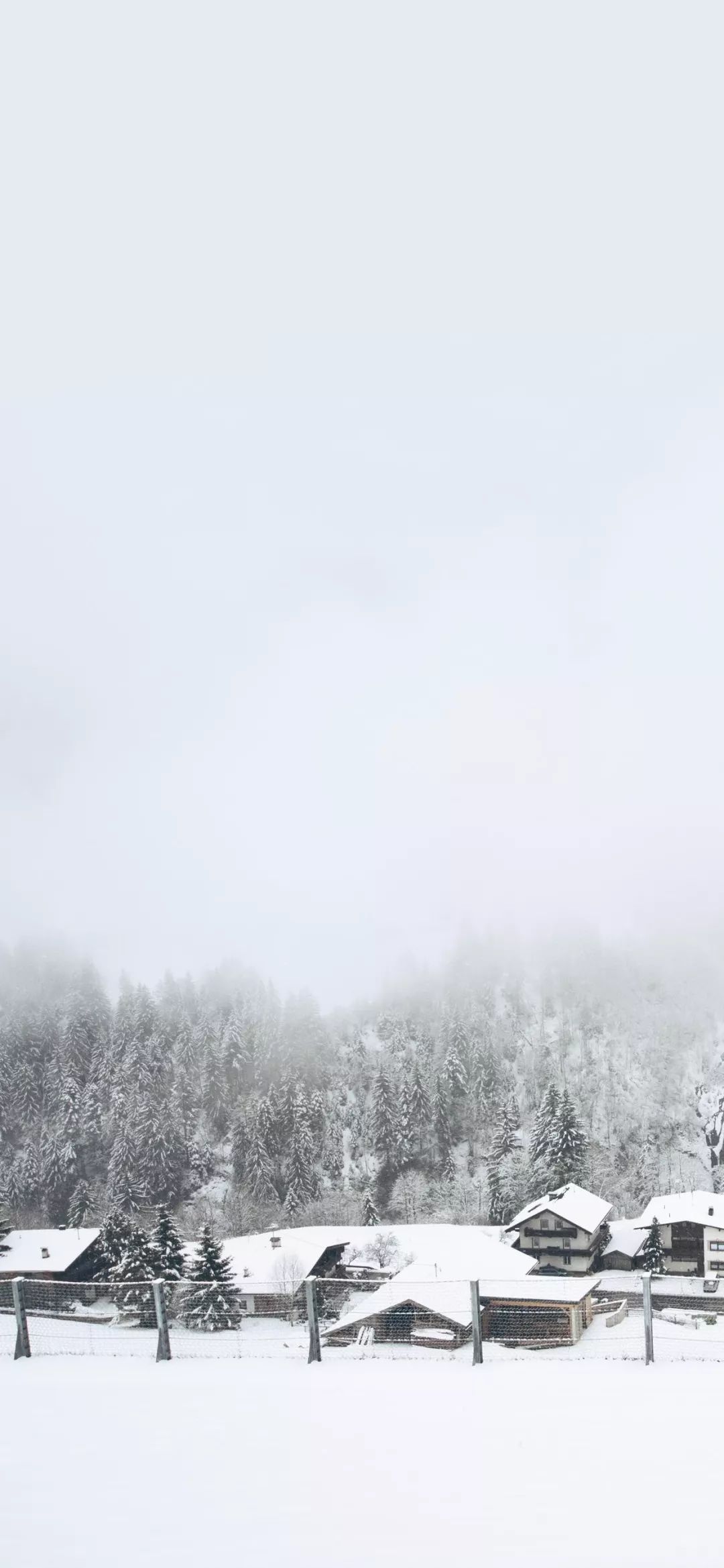 简约冬景壁纸冬色渐入愿你凡世浮尘享宁静