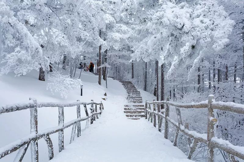 看雪何必去東北?高鐵僅2.5h直達,這座神山人少景美還能泡溫泉!