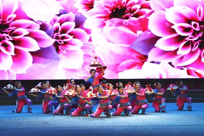 舞蹈《花帽子》