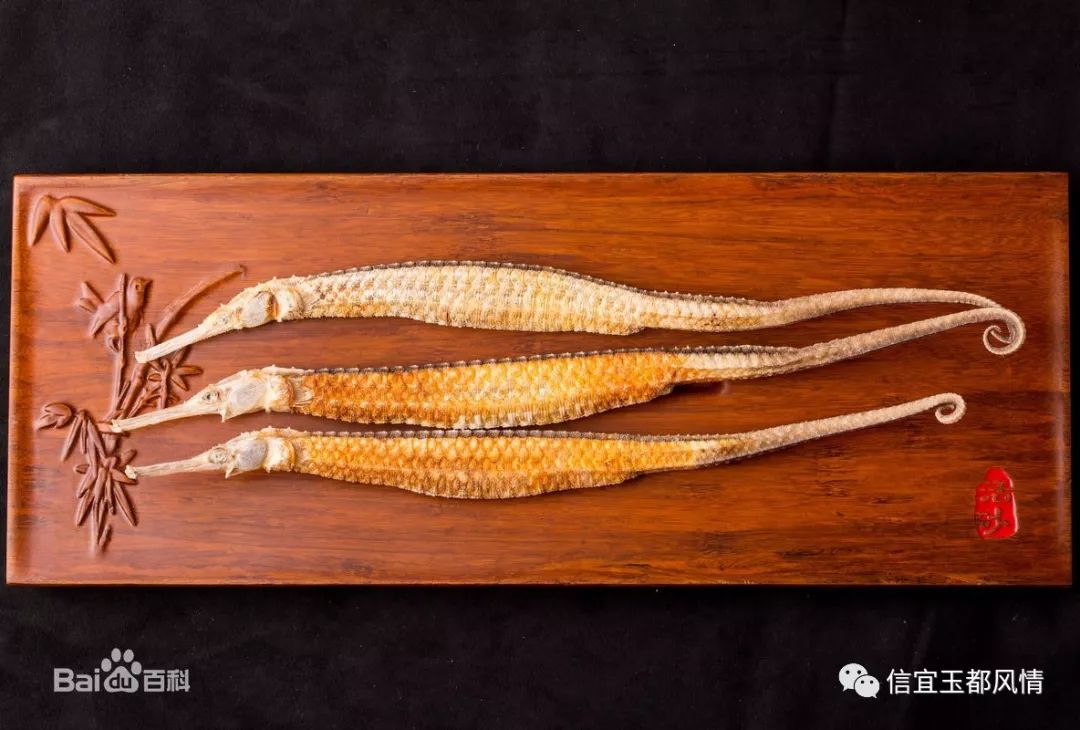 信宜某市场又有一群人在套路行骗老人家?_海龙