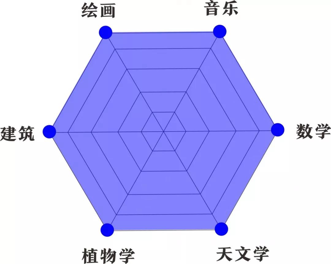 六边形能力图生成器图片