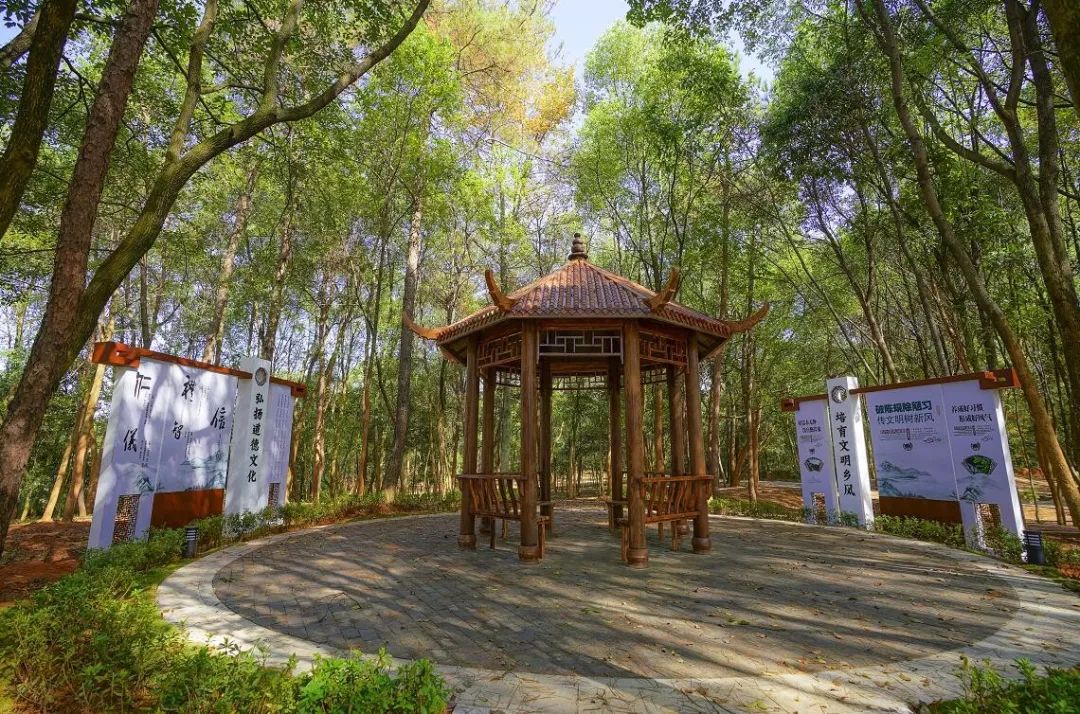 乡村美如画长龙街道湘峰村杨祠人居环境示范片完工