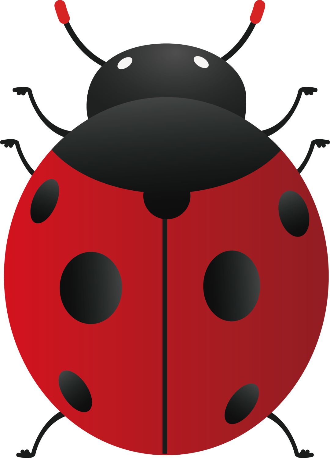 【本周早教课】课程主题更新