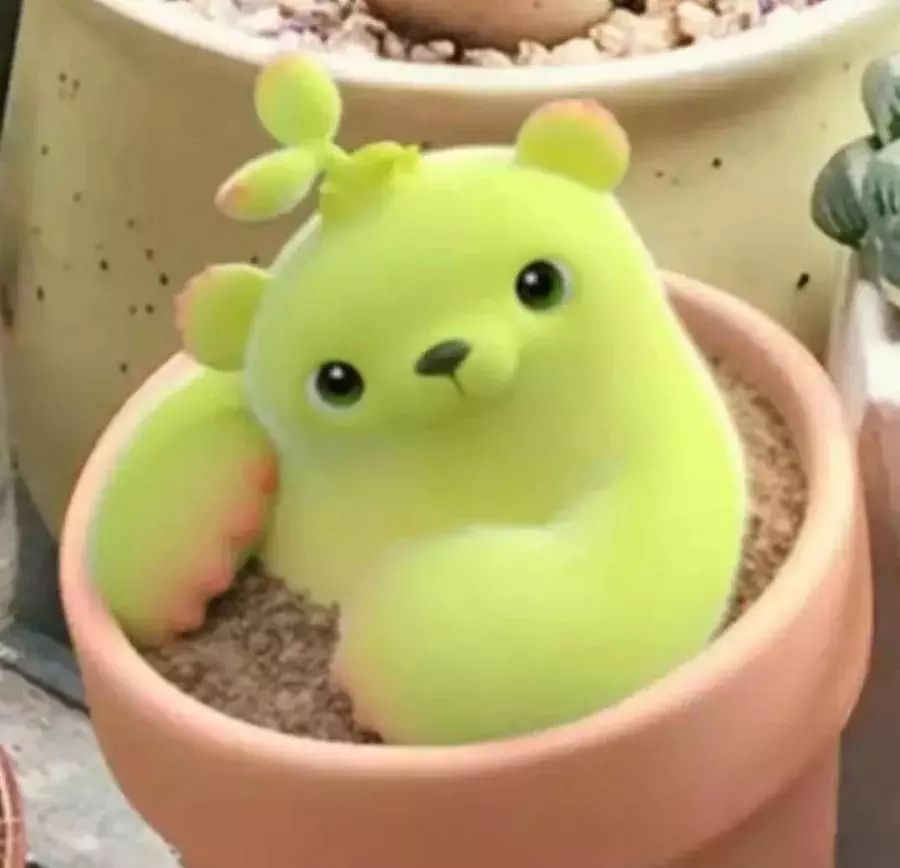 "萌芽熊"由此诞生象征希望和温暖的卡通植物形象围绕