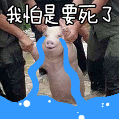 小组讨论battle指南