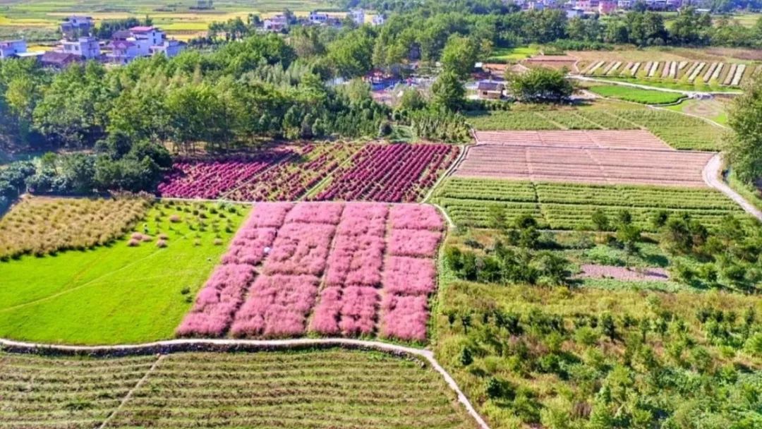 祁阳德辉景区图片