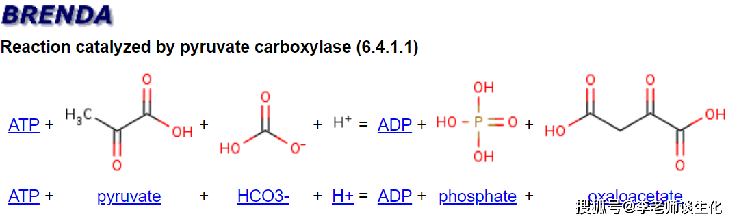 丙酮酸羧化酶:生成草酰乙酸,參與三羧酸循環的回補以及糖異生.
