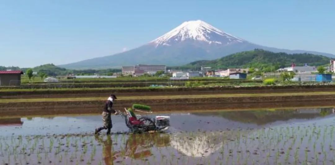 日本六次产业完全版_农业