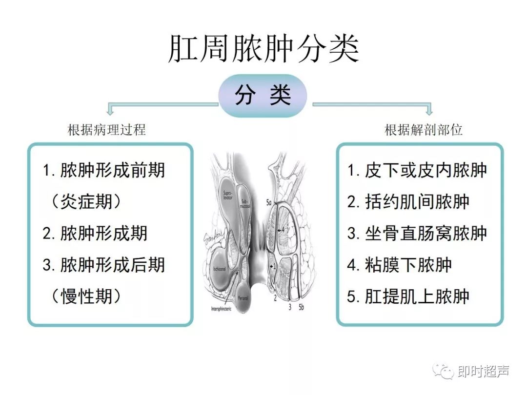 主要评价原发瘘管,内口及肛周脓肿的存在与否.2.