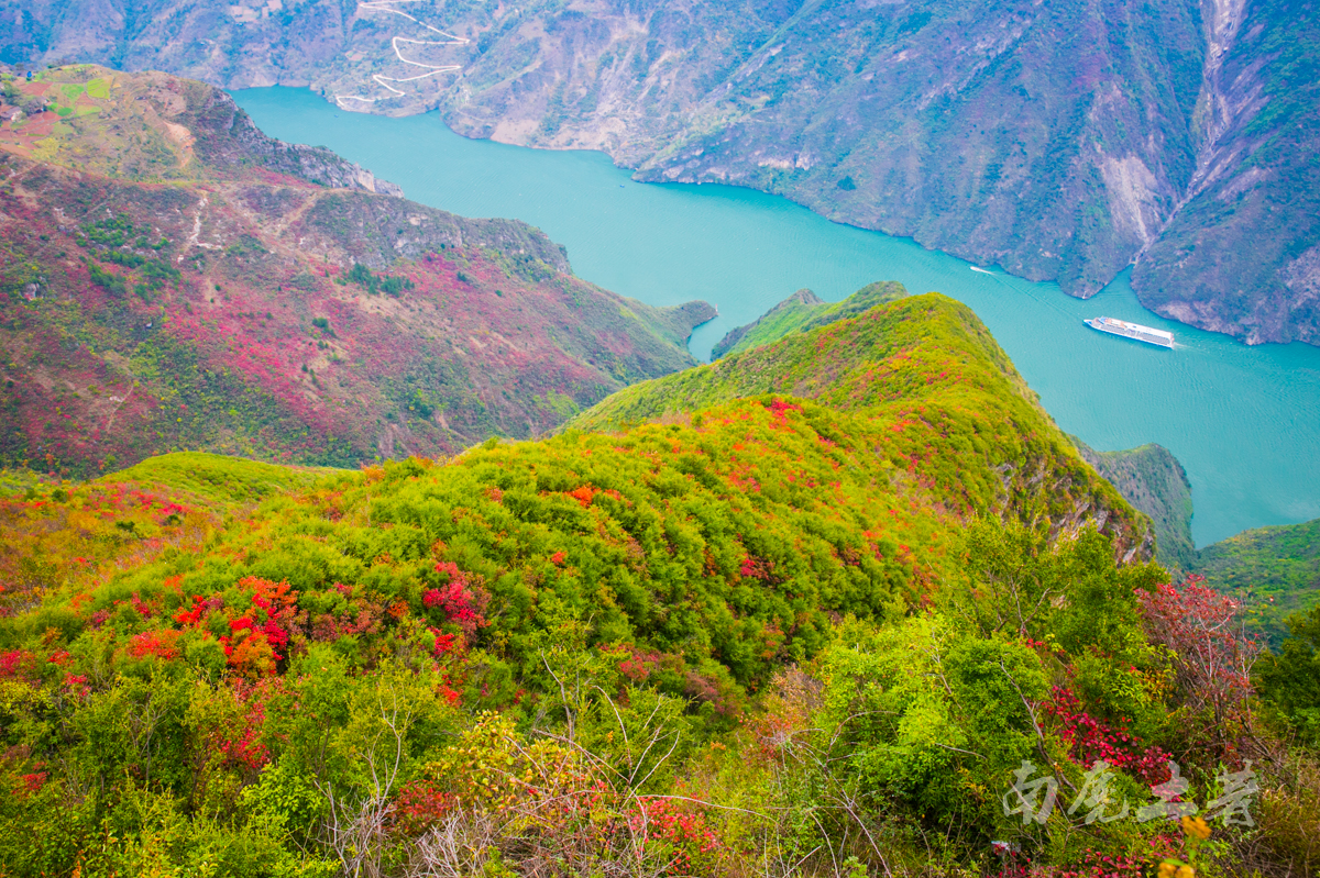 巫峡之巅新开一条神女天路，带你看三峡最美的红叶