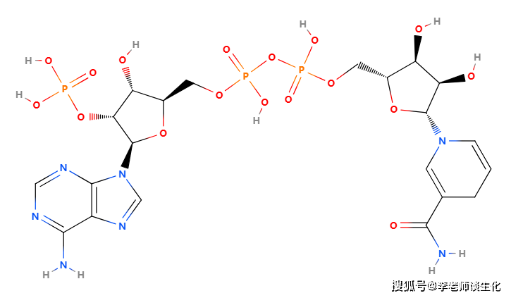 烟酸niacin名称由来与氧化还原辅酶