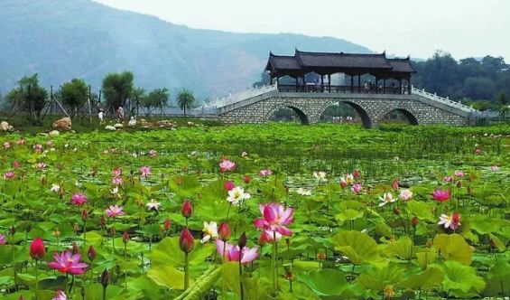 想看懂丹凤来这几处景点让你领略丹凤真正的魅力