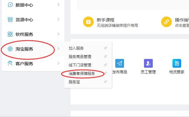 在登陆成功之后点击页面上方菜单栏里面的卖家中心这样的一个选项