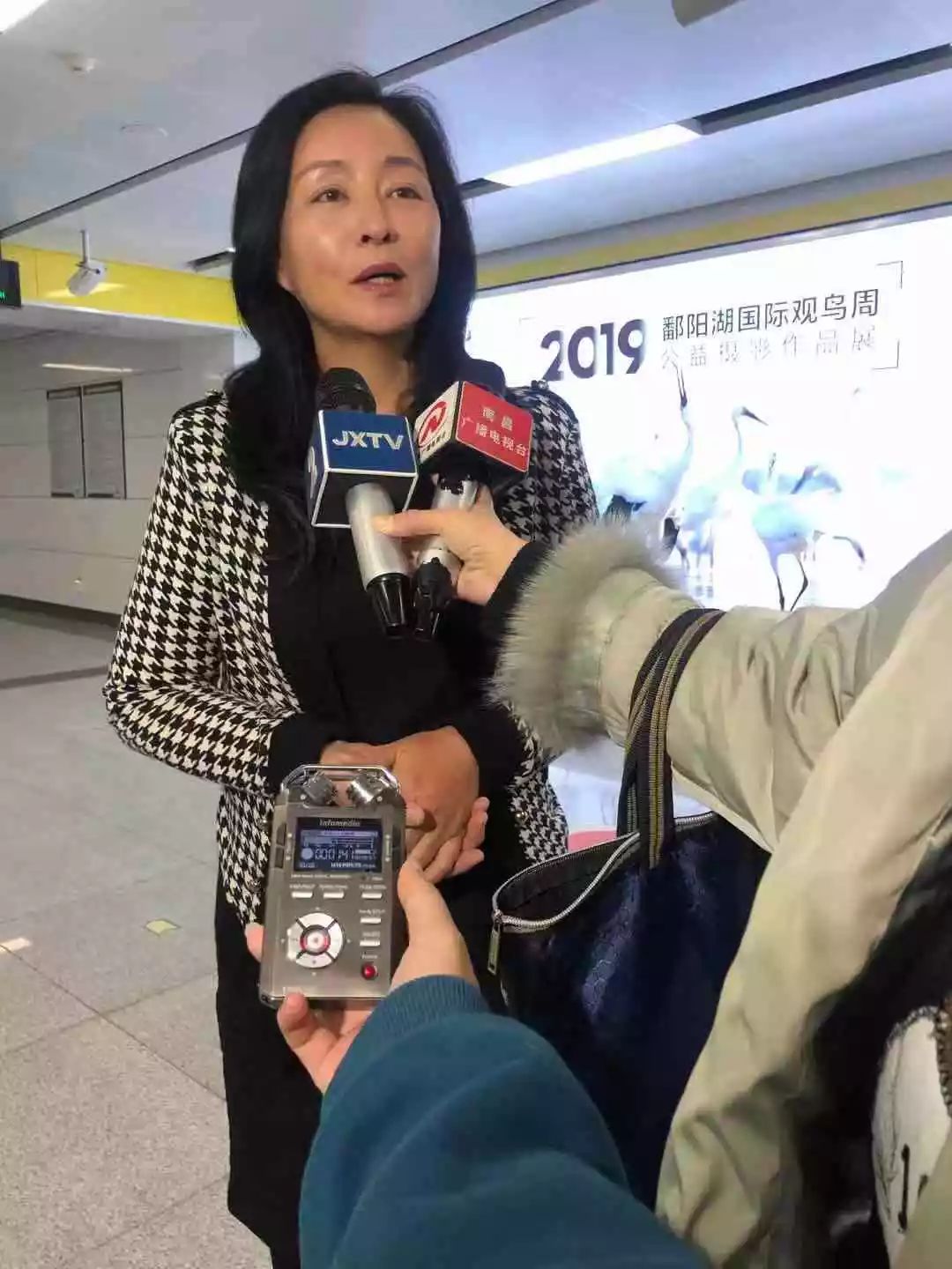 周海燕老师被称为"白鹤的中国妈妈",这个称呼的由来除了是因为她常年