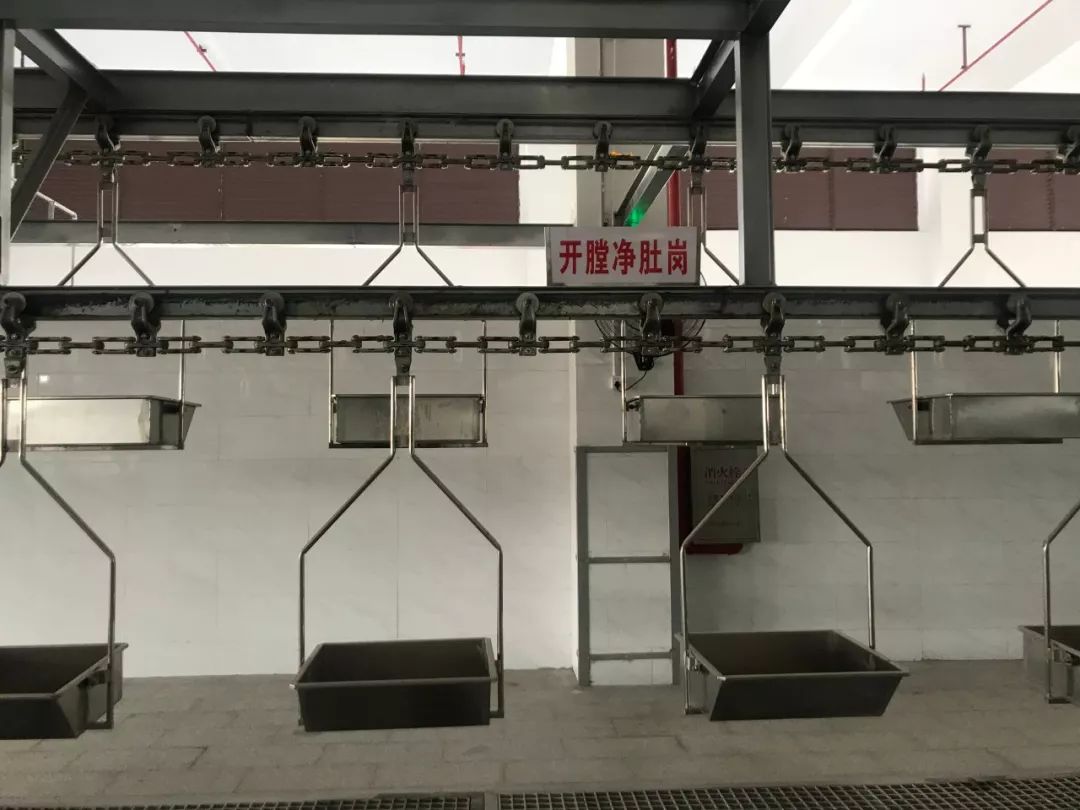 高明肉联厂新厂投入使用年宰猪牛羊90万头