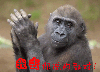 很多人总是拿这个跟雅诗兰黛比较其实这根本就是不同维度可以说不同