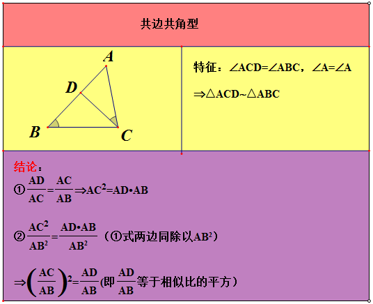 相似专题丨共边共角型的特征及在实战中的应用附习题