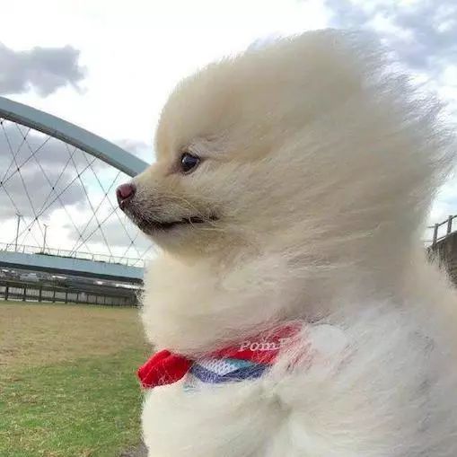 头给你拧掉它对我说天津的风好像会说话这段时间匆匆掏出秋裤今天就被