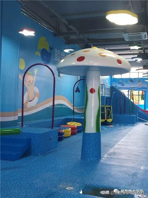 恭贺鲸鱼堡四川攀枝花米易店盛大开业!