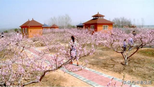 长葛市中万生态园,禹州市苌庄镇金山岭休闲观光园区入选2019年河南省