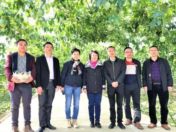 到寻乌调研指导扶贫工作,县委常委,副县长米雅娜,晨光镇副镇长,高布村