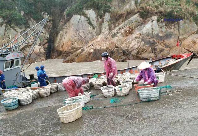 实拍大陈岛小渔村渔民打鱼归来狂风暴雨中劳作皮皮虾3元一斤