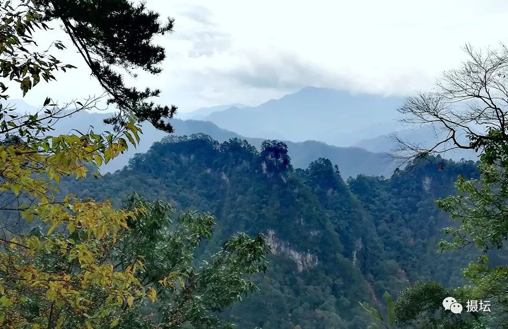 手机摄影【佳片有约】第955期