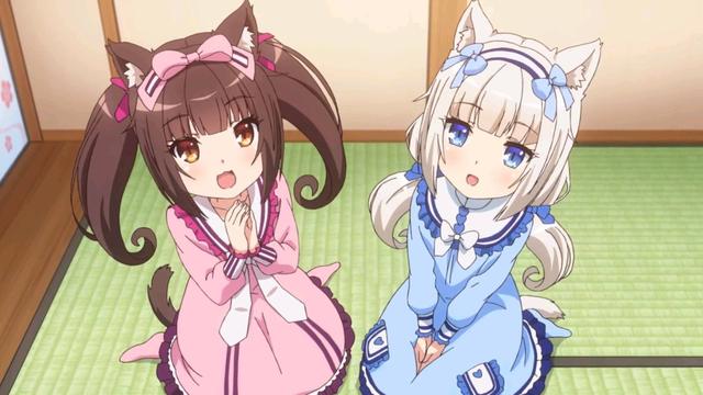 一大波"喵星人"来袭,《猫娘乐园》pv主图公开,撸猫人士请注意