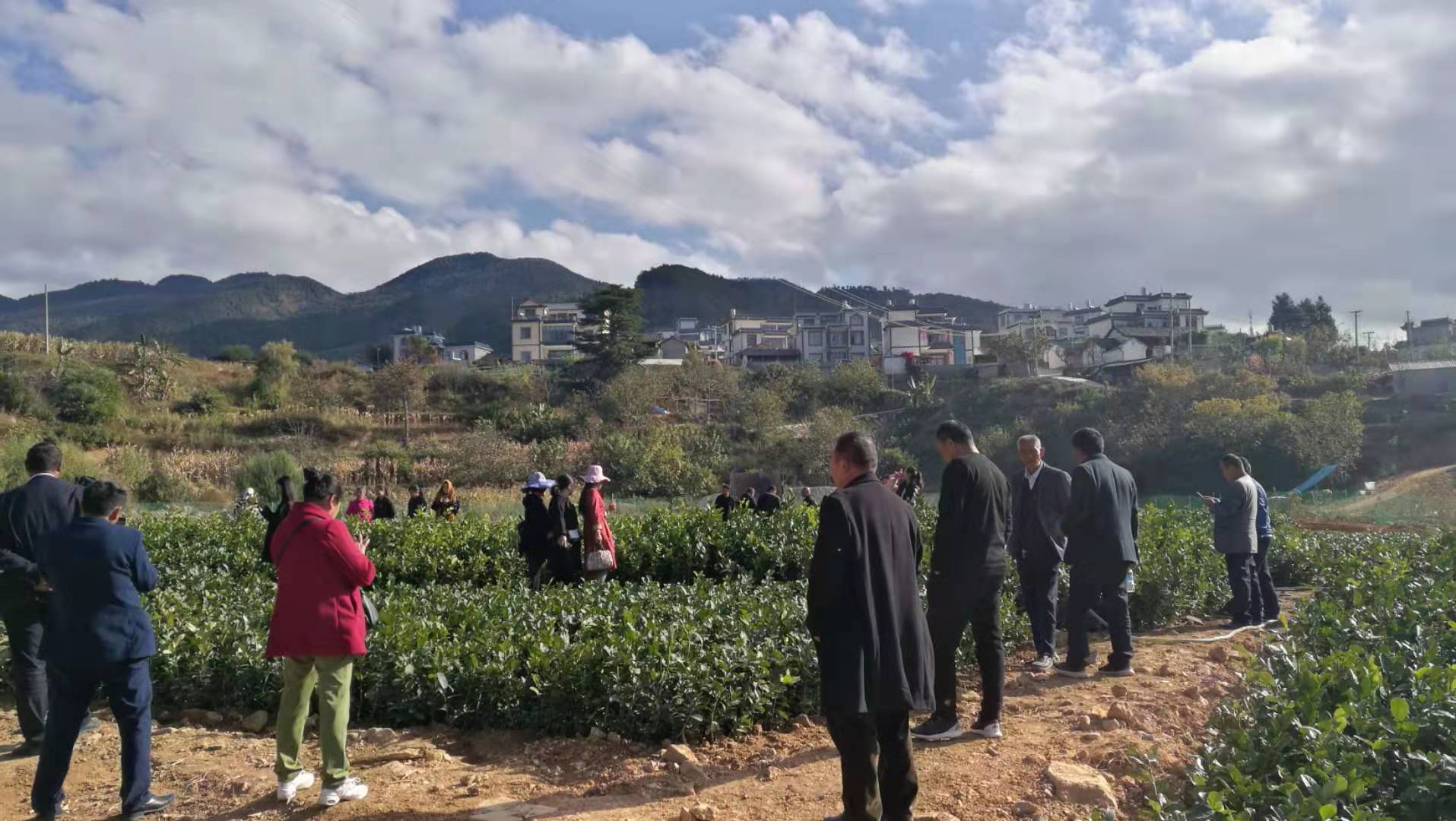 保山市隆陽區漢莊鎮組織開展市,區,鎮三級人大代表活動