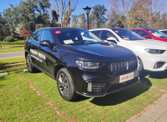 试驾2020款vv5触手可及的豪华究竟有几分真材实料