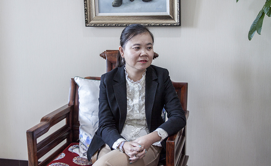 燕达副总裁李海燕从京津冀到全国燕达模式如何越走越稳