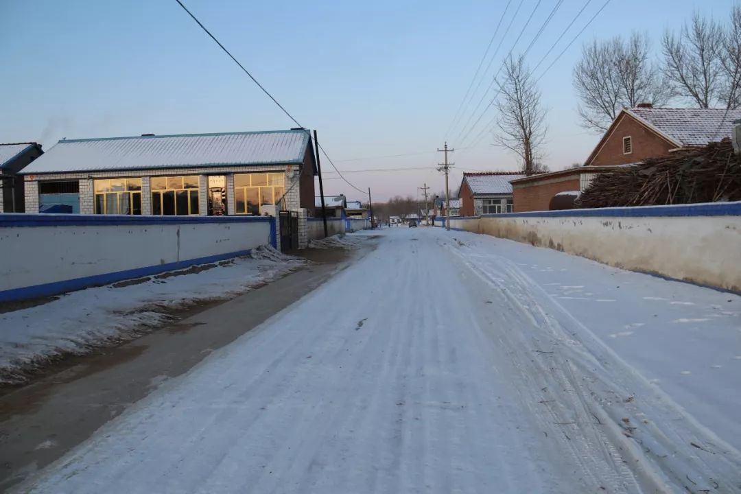 在扎赉特旗有这样一个村子,村内条条街道都干干净净,户户屋里院外整整