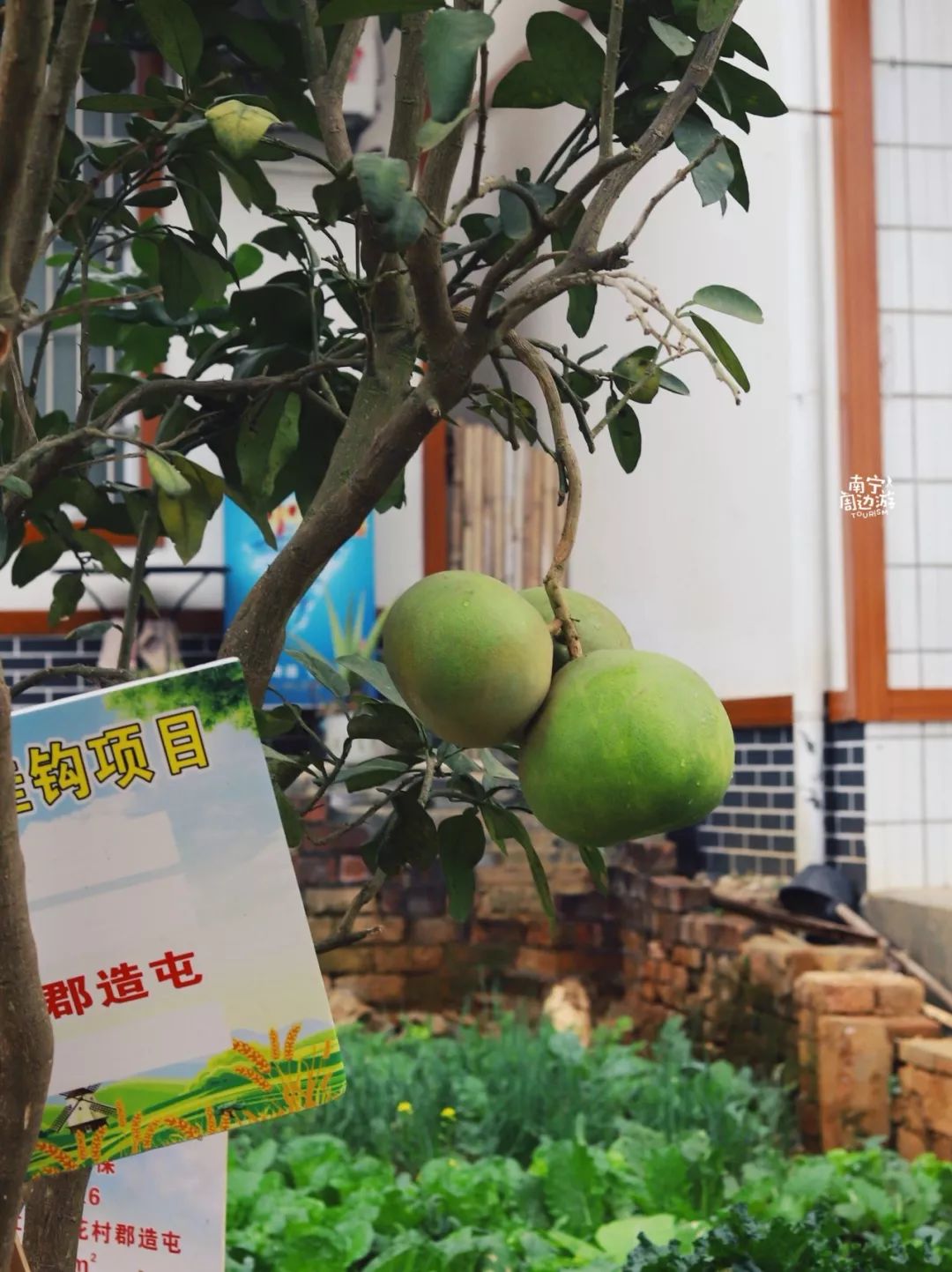 南宁附近藏着一座文艺小村小桥流水美成画惊艳时光周末走起
