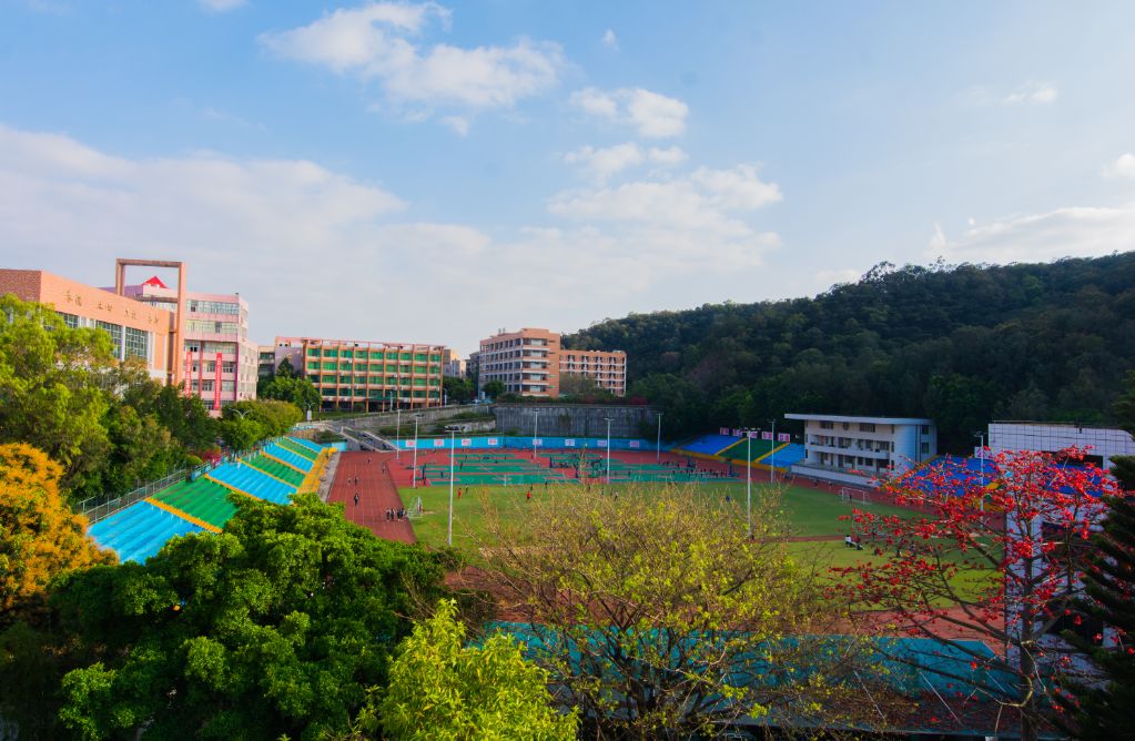 攝於 東莞石碣中學 縫隙間挺拔生長的小草 攝於 東莞市信息技術學校