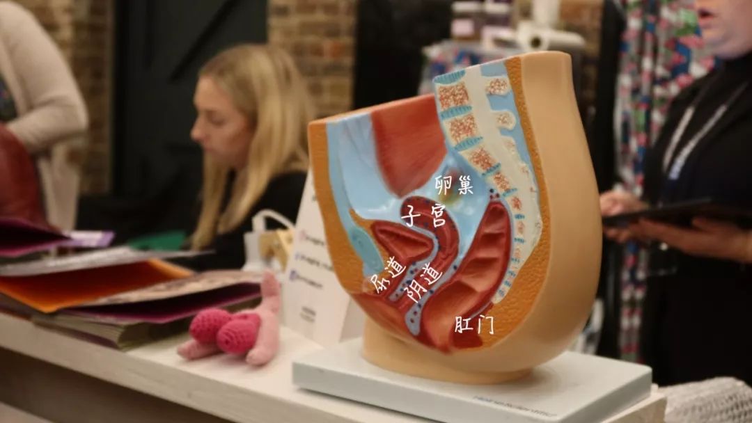 别害羞和我去世界首家阴道博物馆逛逛