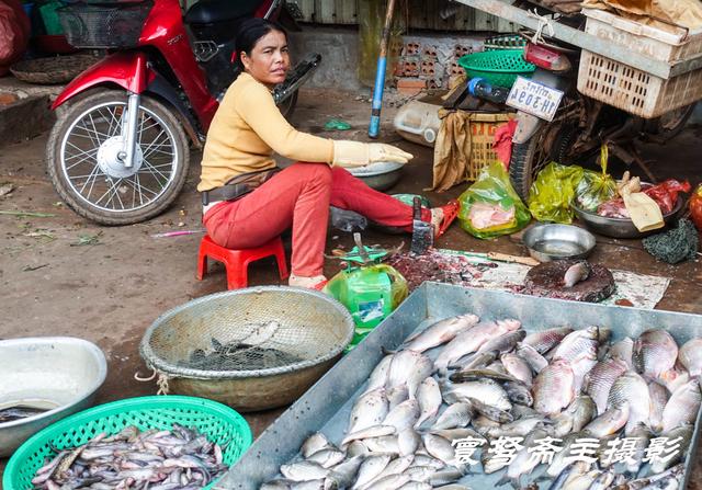 来到柬埔寨著名的吴哥窟观光旅行，欣赏名胜古迹之前先逛逛菜市场