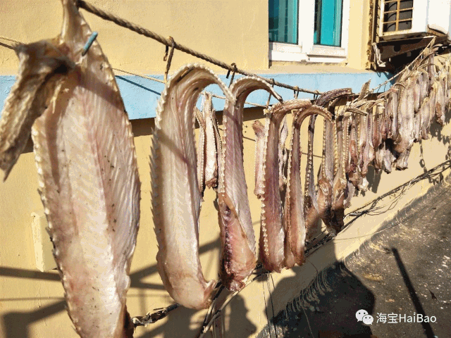 大连冬菜界的扛把子们!_咸鱼