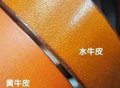 黄牛皮的分类和水牛皮的区别