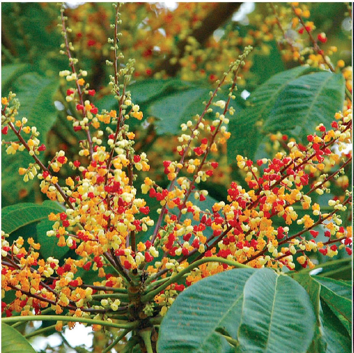 痣相算命痣上长毛好不好可以点掉吗0202